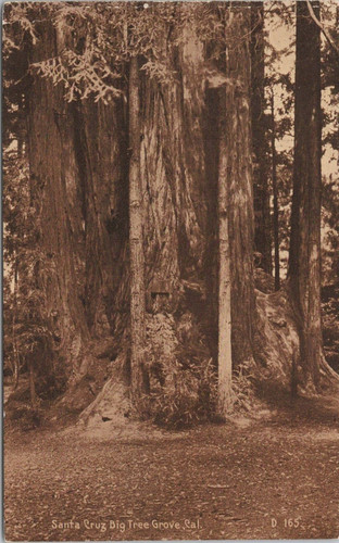 Litho santa cruz view in - litho,